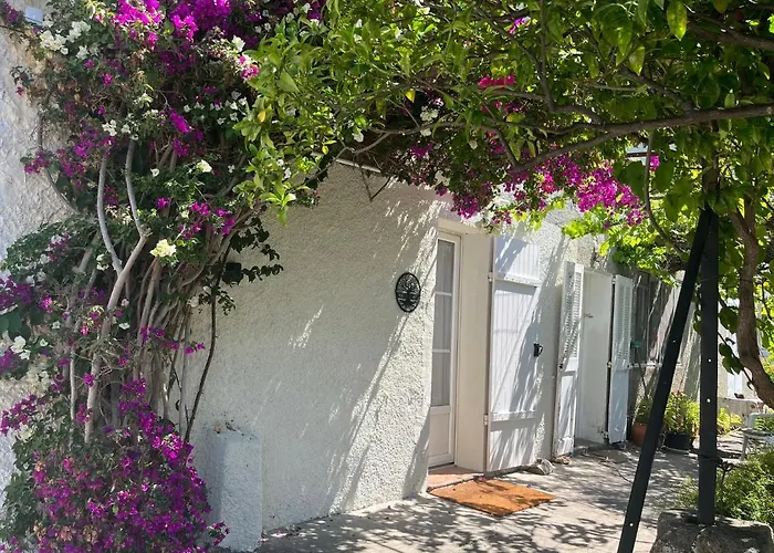 Villa Harmonie - Unique Provencal Charm